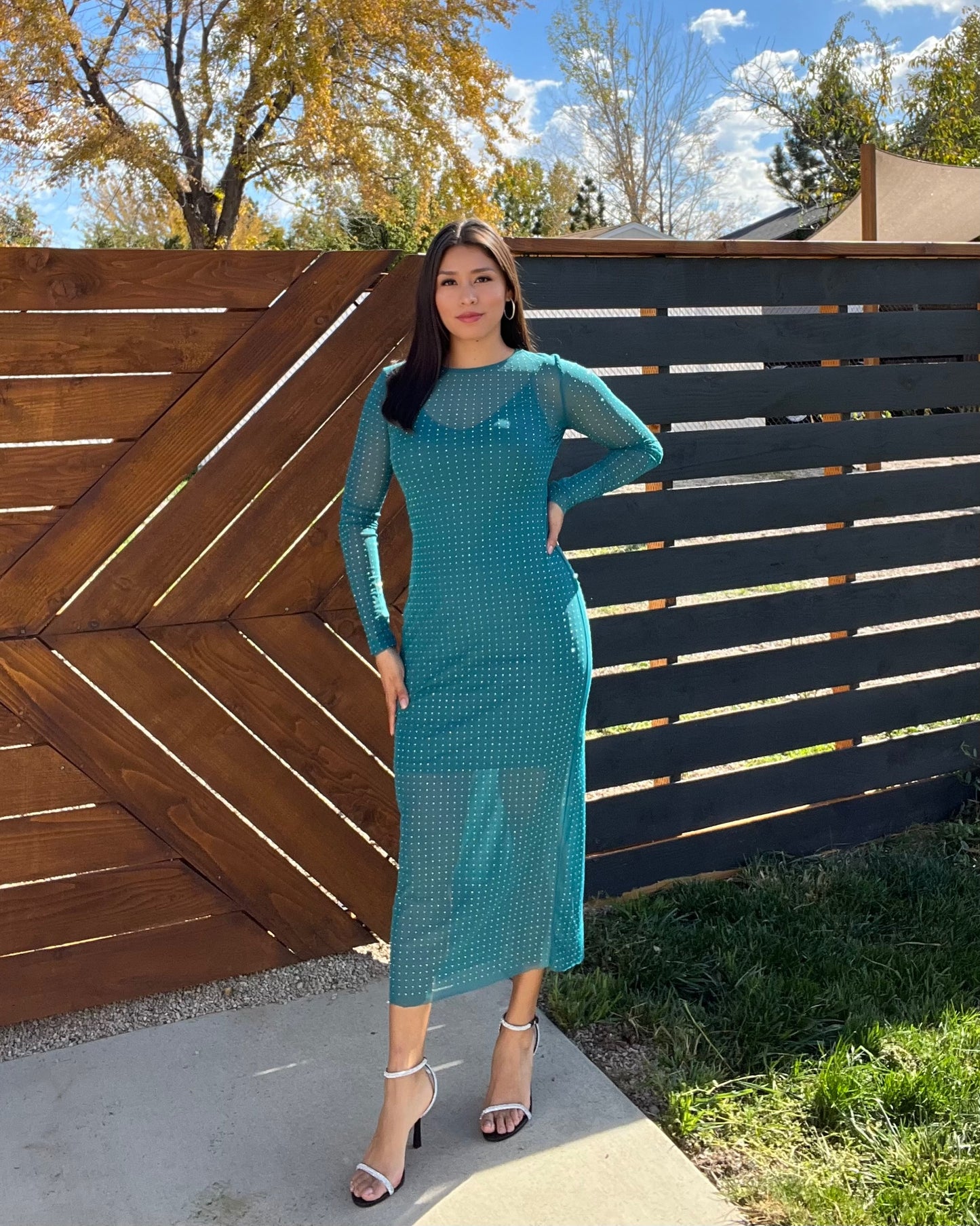 Ellie Rhinestone Dress