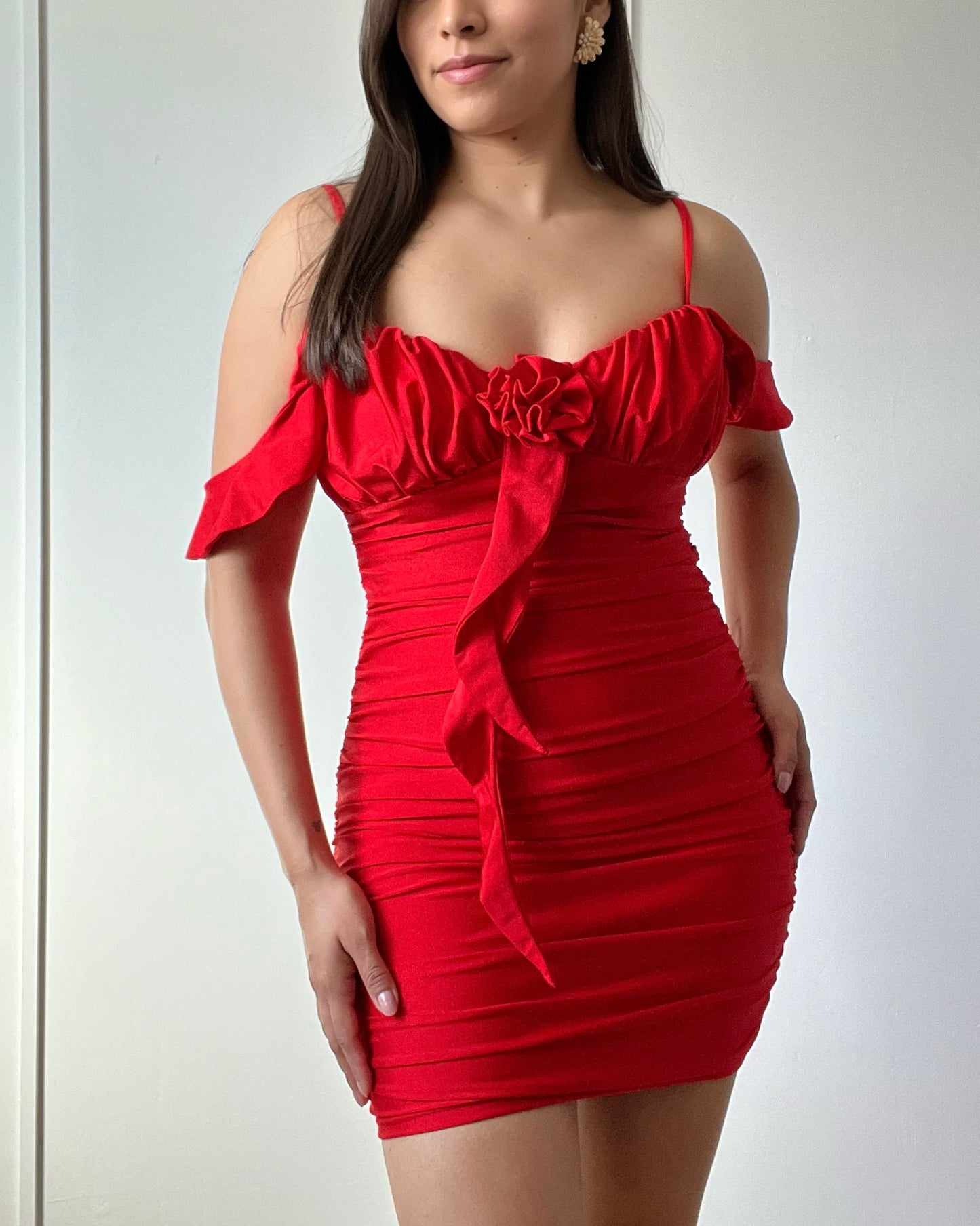 Bella Rose Corsage Mini Dress